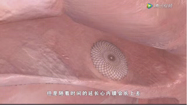 微信图片_20190121164737.jpg 微信图片_20190121164737.jpg