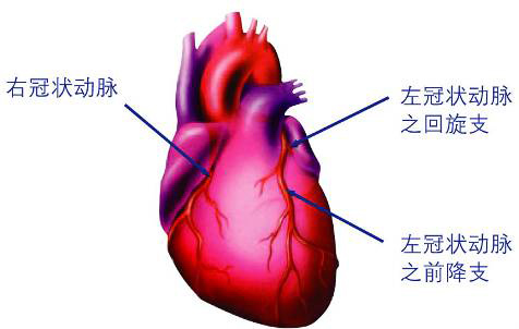 image002.jpg