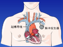 图片6.jpg