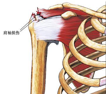 图片3.jpg 图片3.jpg