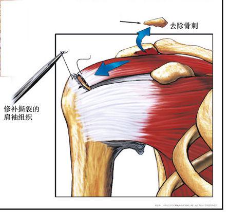 图片4.jpg 图片4.jpg