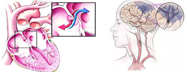 图片5.jpg 图片5.jpg