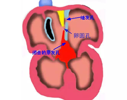 微信图片_20190121164737.jpg 微信图片_20190121164737.jpg