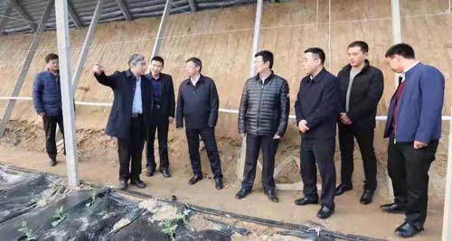 微信图片_20190225093134.jpg