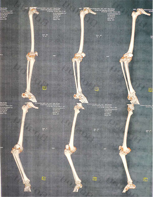 图片9.jpg