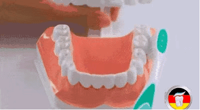 微信图片_20190508102818.gif
