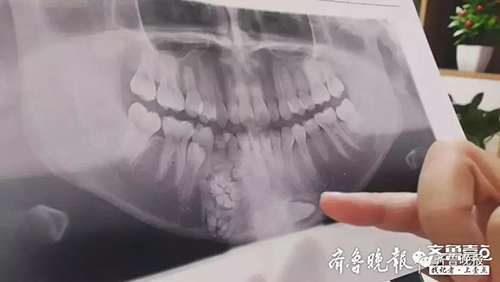 香港奖现场直播结果