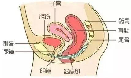 微信图片_20190827092757.jpg 微信图片_20190827092757.jpg