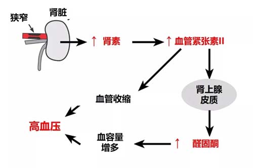 微信图片_20191025085428.jpg