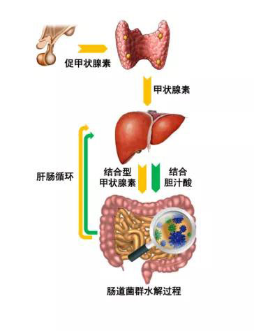 微信图片_20191106094018.jpg
