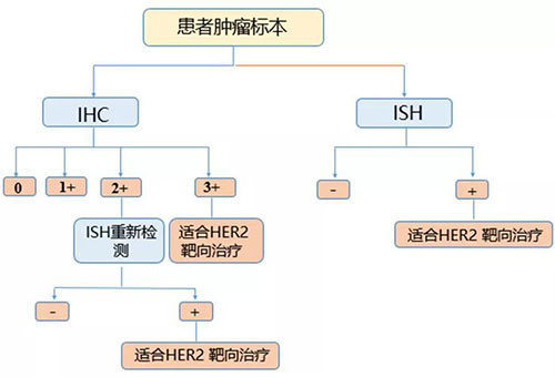 微信图片_20191122093111.jpg