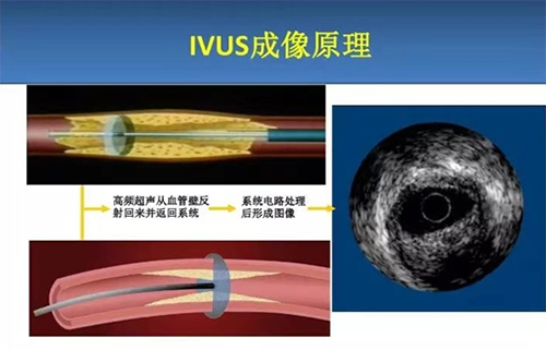 图片3.jpg 图片3.jpg