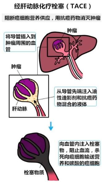 图片86.jpg