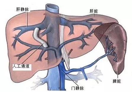 微信图片_20210830091553.jpg