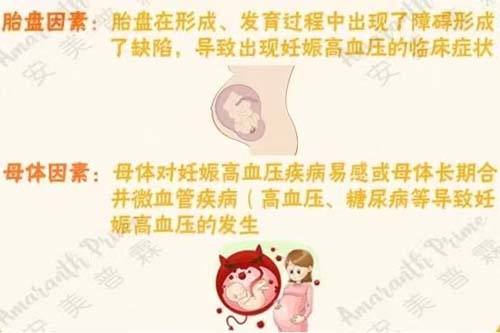 图片15.jpg 图片15.jpg