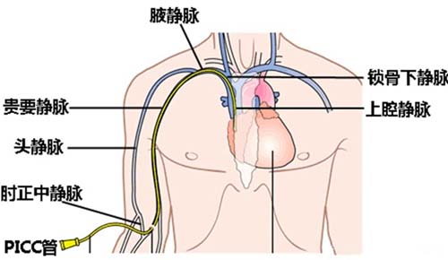 微信图片_20230510094037.jpg