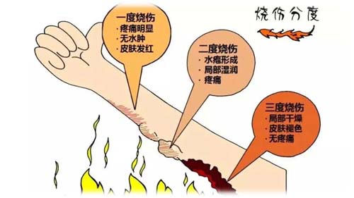 微信图片_20230522091410.jpg