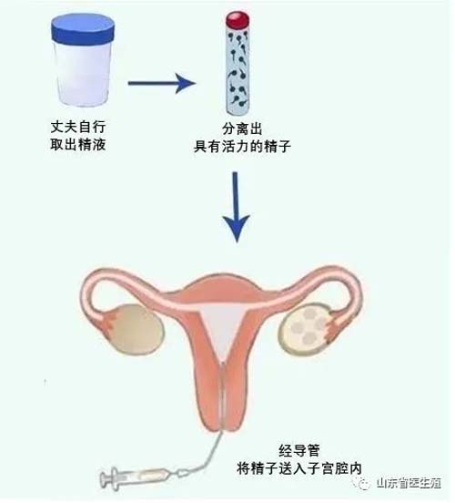 图片 1_1.jpg