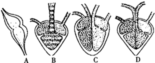 640 (4)_1.jpg