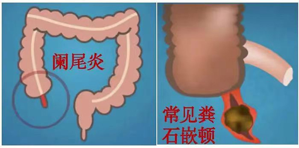 图片13.jpg