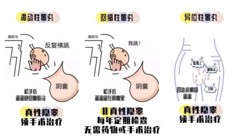 图片 1.jpg