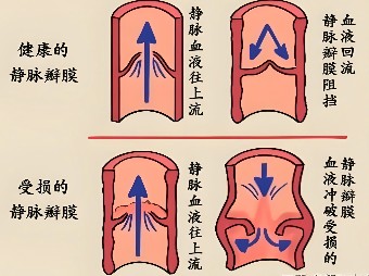 图片 1.jpg