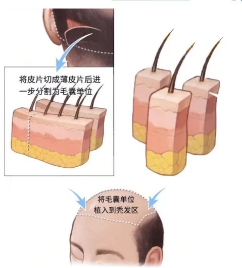 图片 1.jpg