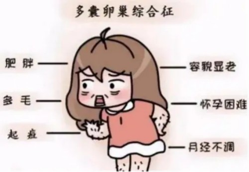 图片 4.jpg
