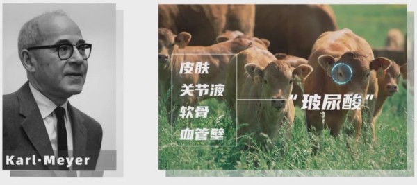 图片 2.jpg