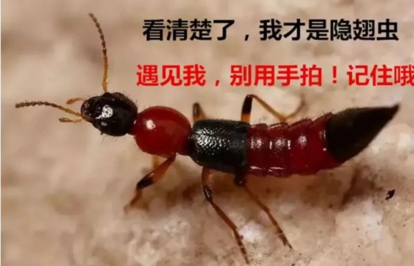图片 1.jpg