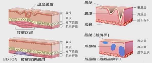 图片 2.jpg