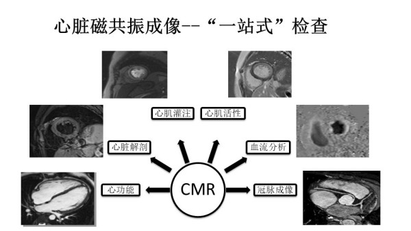 图片 1.jpg
