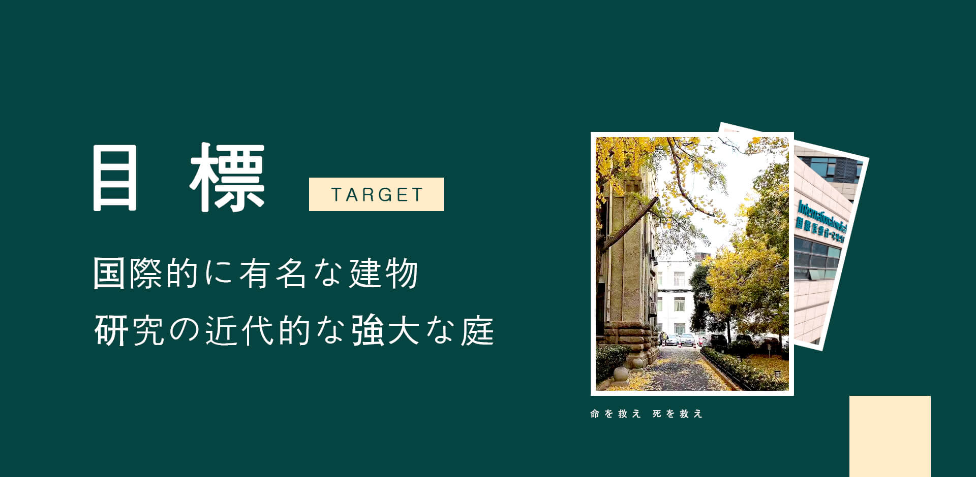 香港奖现场直播结果