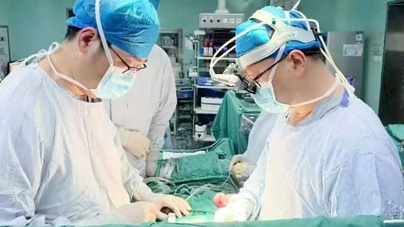 香港奖现场直播结果