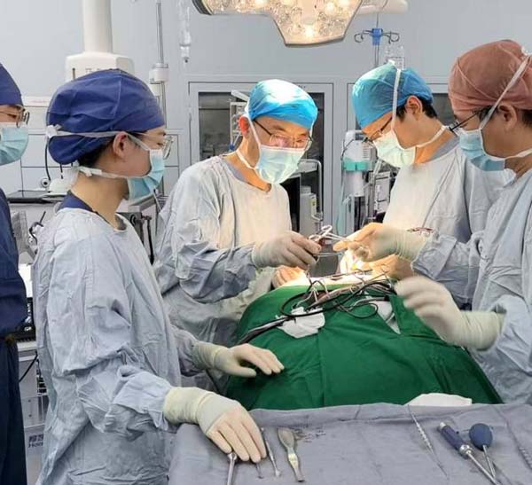 香港奖现场直播结果