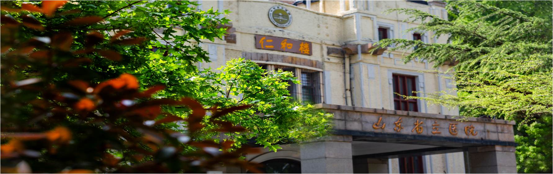 香港奖现场直播结果
